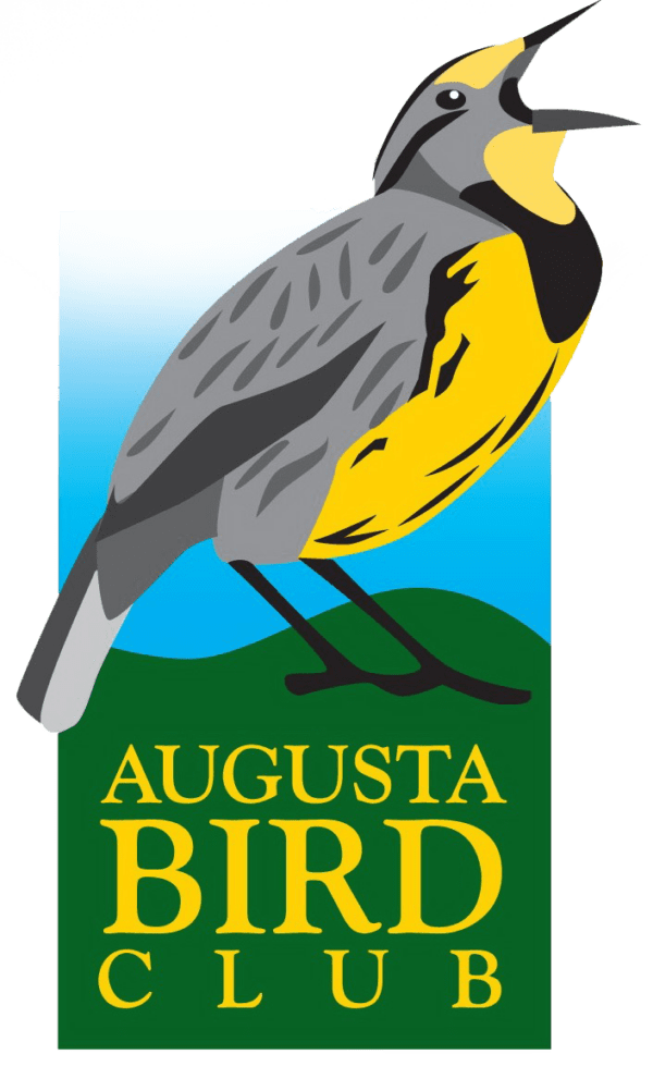 augusta bird club